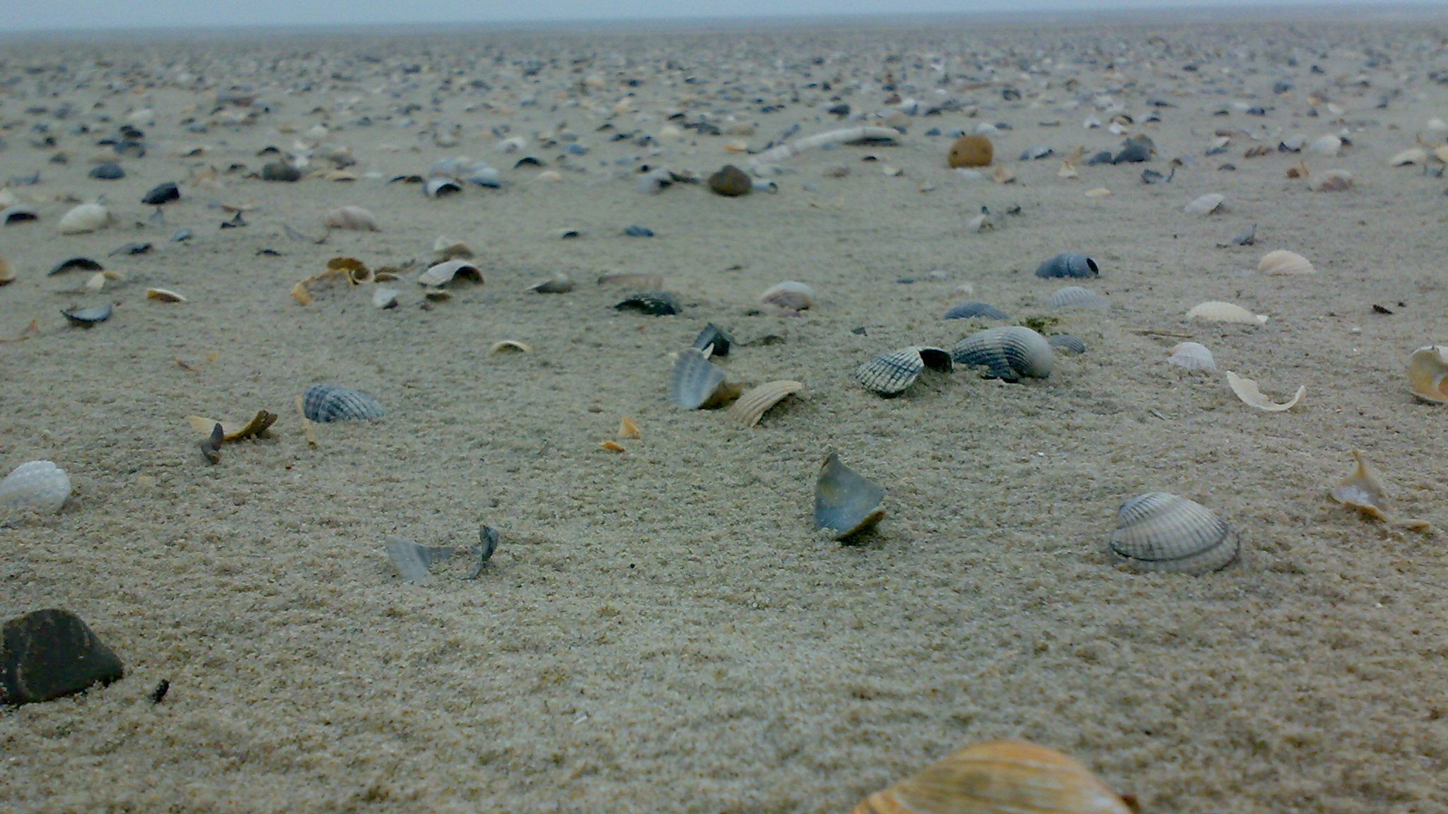 You are currently viewing An Omniscient Narrator Steps Out of Third-Person Perspective…